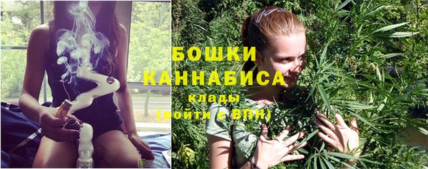 дживик Беломорск