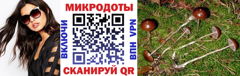 Купить где Александровск Галлюциногенные грибы мухоморы