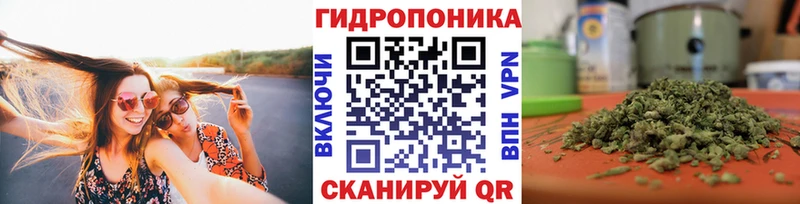 Купить закладки Александровск МАРИХУАНА Ganja